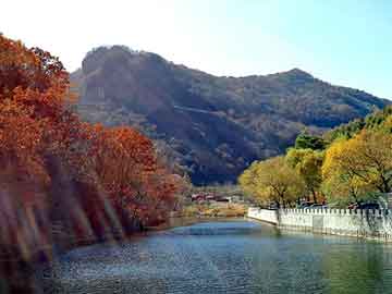 新澳天天开奖资料大全旅游团，梅花鹿价格